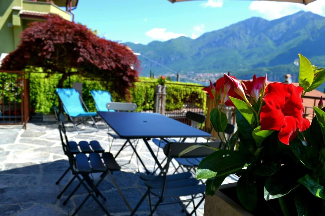 Oliveto Lario Le Grigne Guesthouse - The Garden מראה חיצוני תמונה
