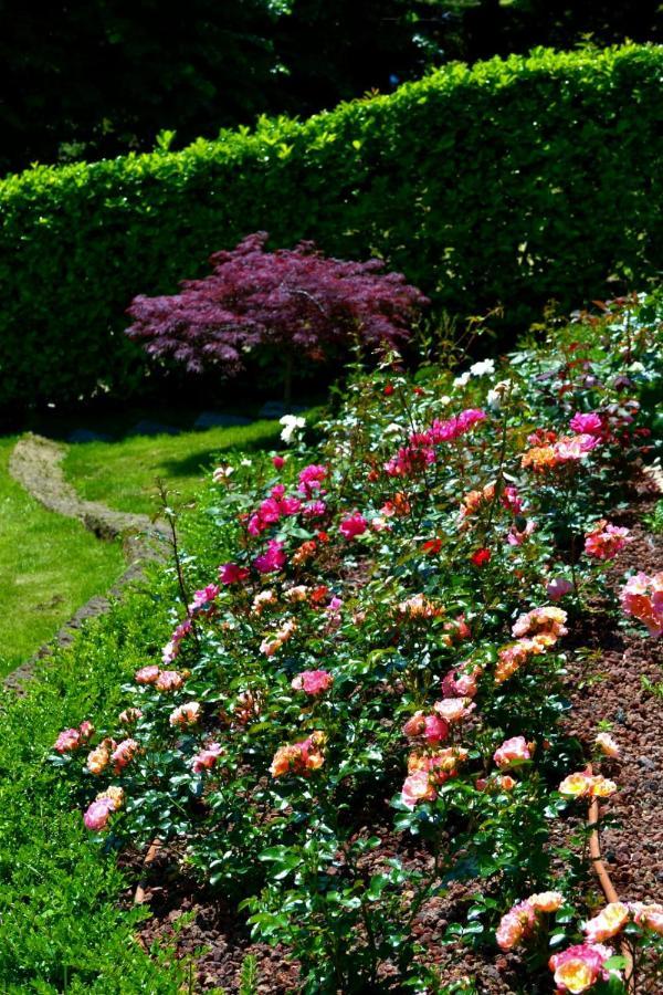 Oliveto Lario Le Grigne Guesthouse - The Garden מראה חיצוני תמונה