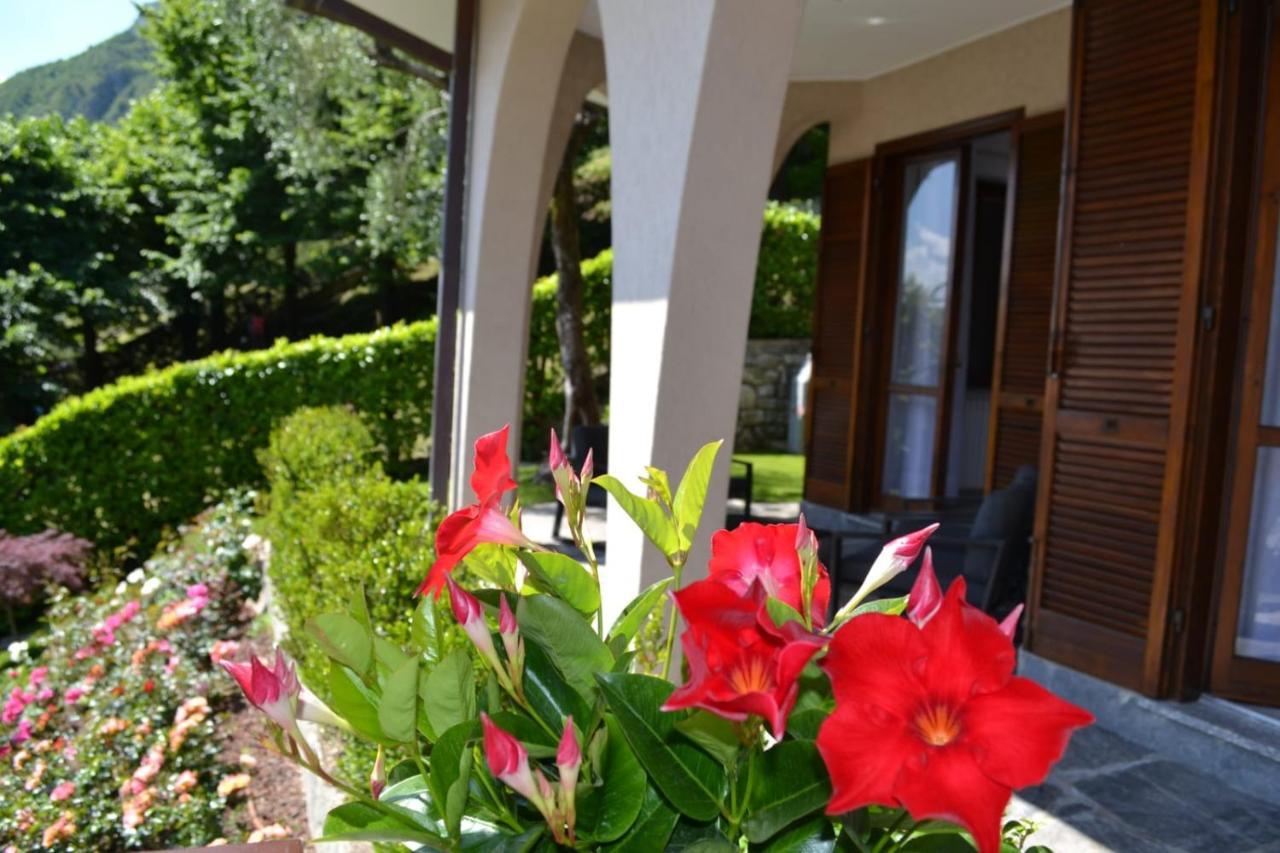 Oliveto Lario Le Grigne Guesthouse - The Garden מראה חיצוני תמונה