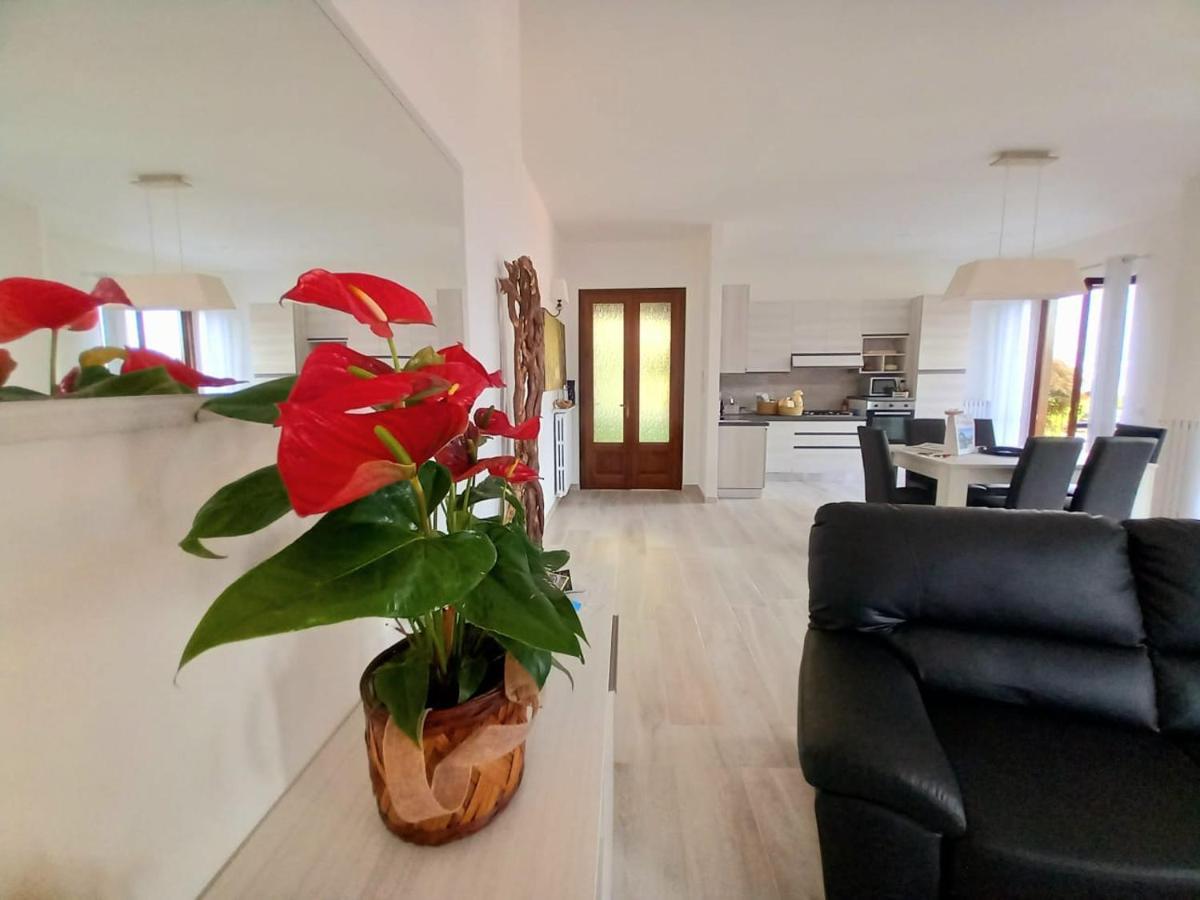 Oliveto Lario Le Grigne Guesthouse - The Garden מראה חיצוני תמונה